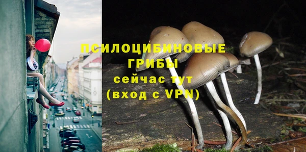 кокаин премиум Волосово