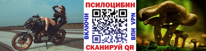Купить закладки  Обнинск  Галлюциногенные грибы мухоморы 